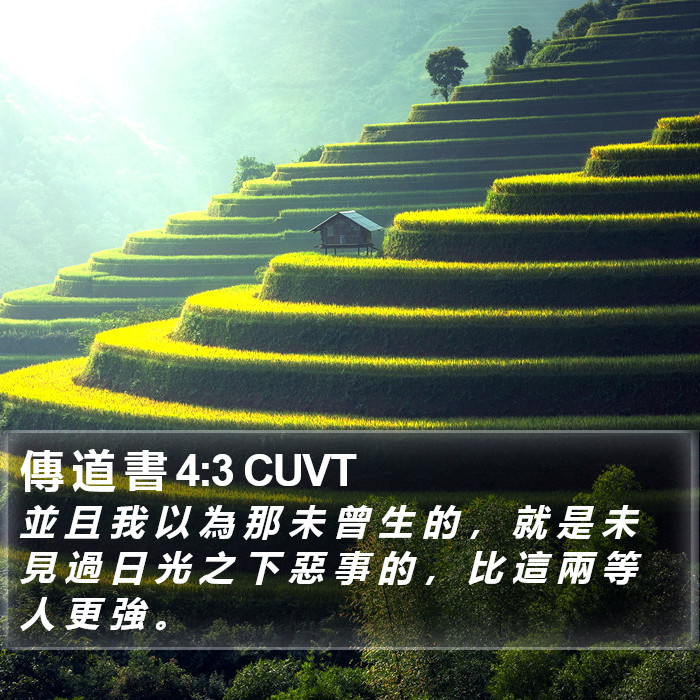 傳 道 書 4:3 CUVT Bible Study