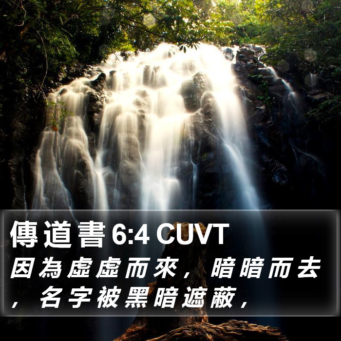 傳 道 書 6:4 CUVT Bible Study