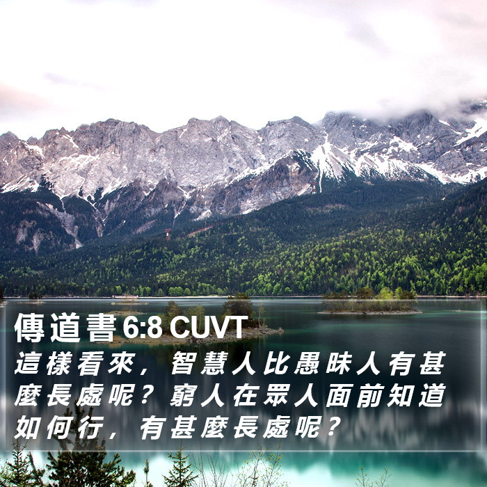 傳 道 書 6:8 CUVT Bible Study