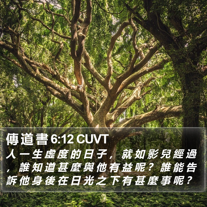 傳 道 書 6:12 CUVT Bible Study