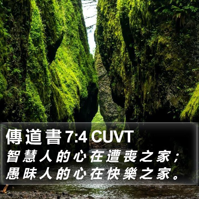 傳 道 書 7:4 CUVT Bible Study