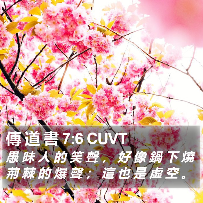 傳 道 書 7:6 CUVT Bible Study