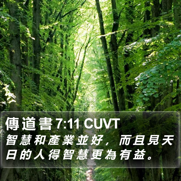傳 道 書 7:11 CUVT Bible Study