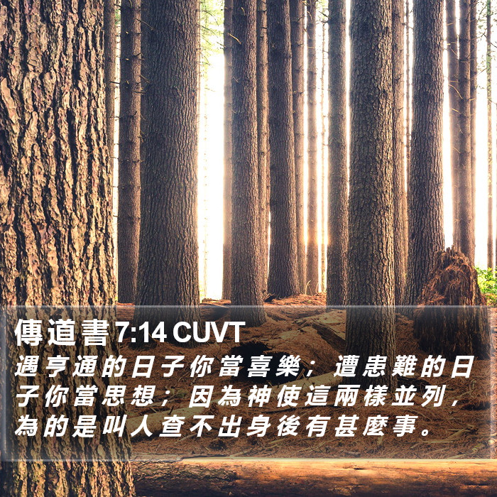 傳 道 書 7:14 CUVT Bible Study