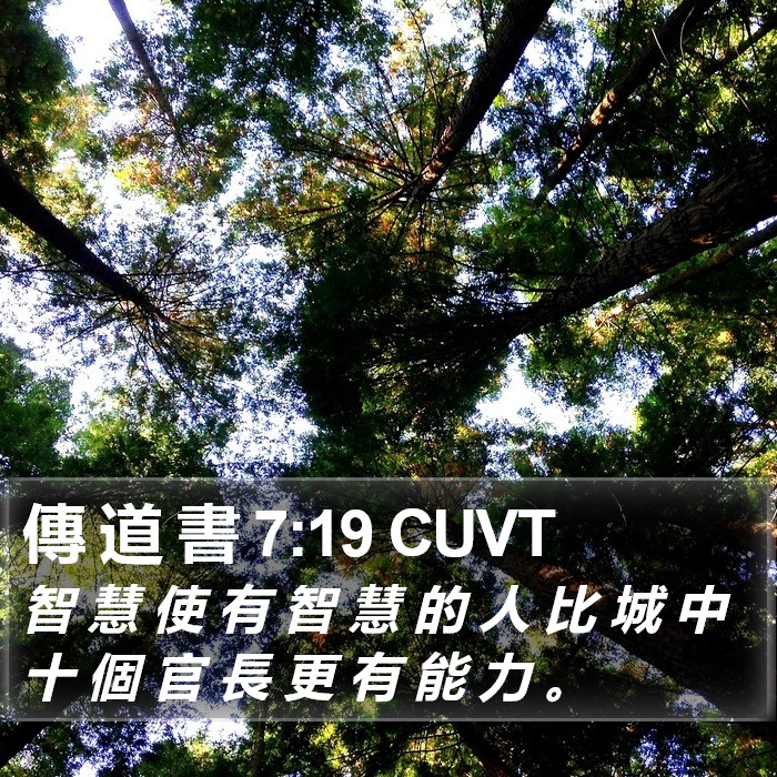 傳 道 書 7:19 CUVT Bible Study