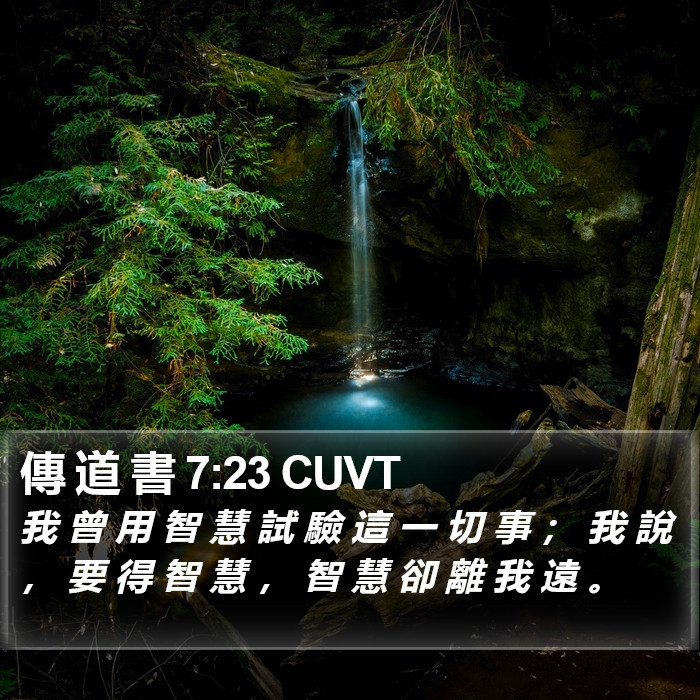 傳 道 書 7:23 CUVT Bible Study