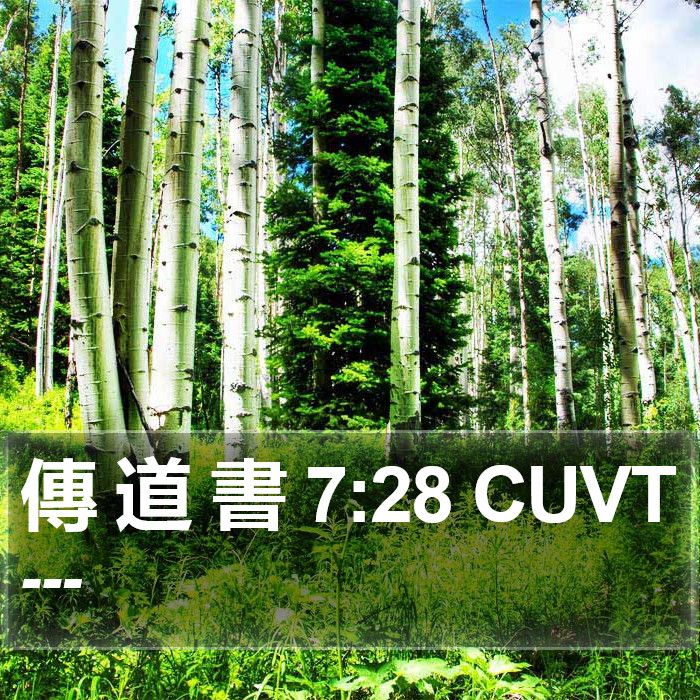 傳 道 書 7:28 CUVT Bible Study