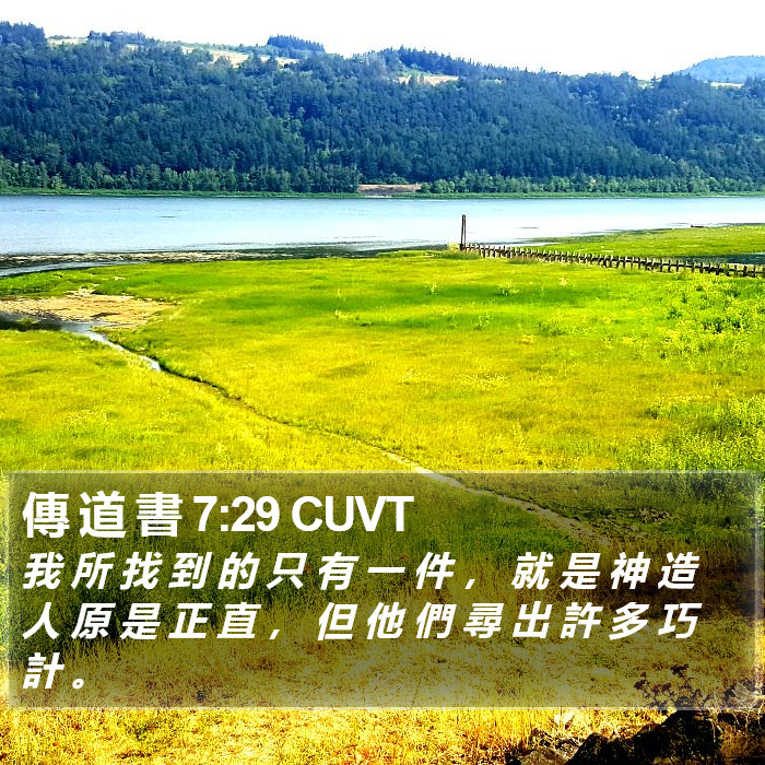 傳 道 書 7:29 CUVT Bible Study