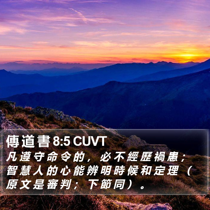 傳 道 書 8:5 CUVT Bible Study
