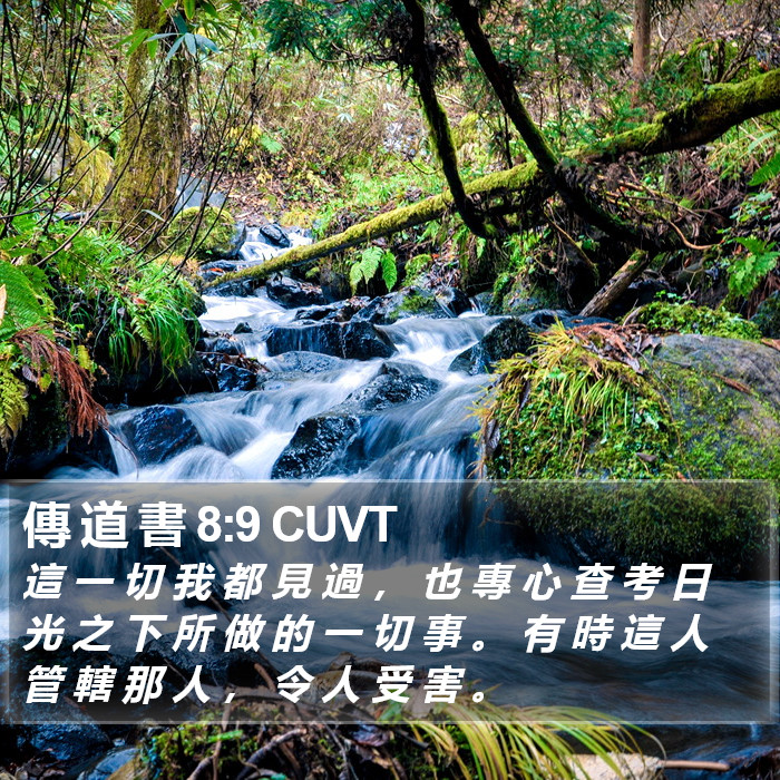 傳 道 書 8:9 CUVT Bible Study