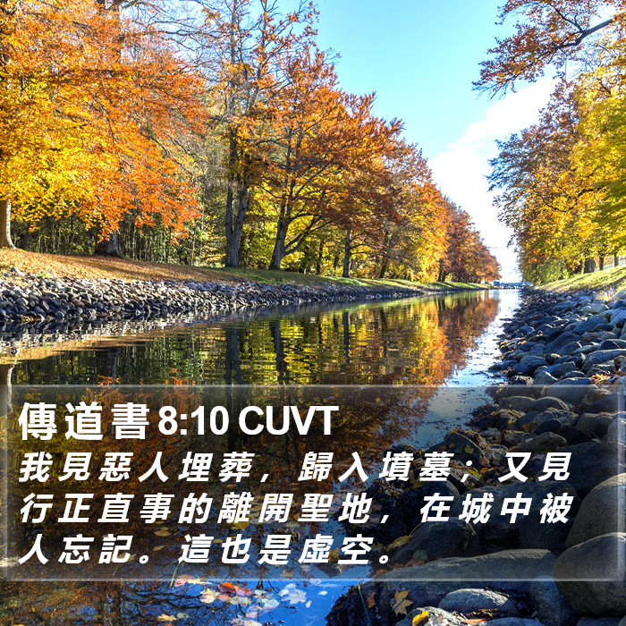 傳 道 書 8:10 CUVT Bible Study