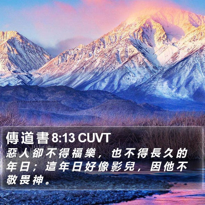 傳 道 書 8:13 CUVT Bible Study