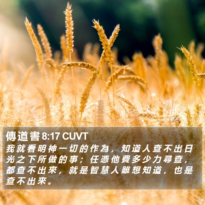 傳 道 書 8:17 CUVT Bible Study