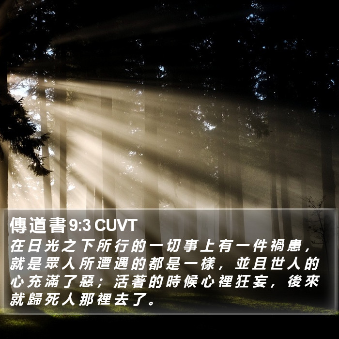 傳 道 書 9:3 CUVT Bible Study