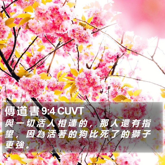 傳 道 書 9:4 CUVT Bible Study