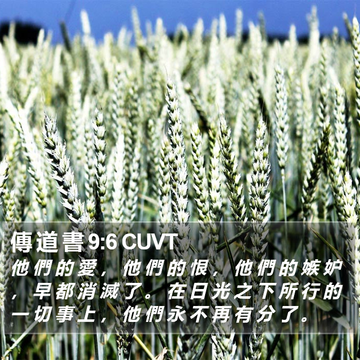 傳 道 書 9:6 CUVT Bible Study