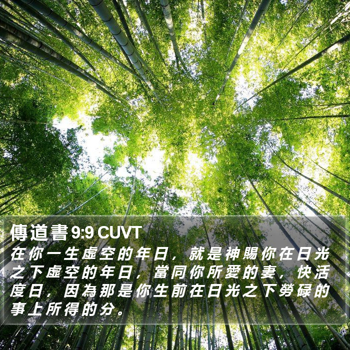 傳 道 書 9:9 CUVT Bible Study