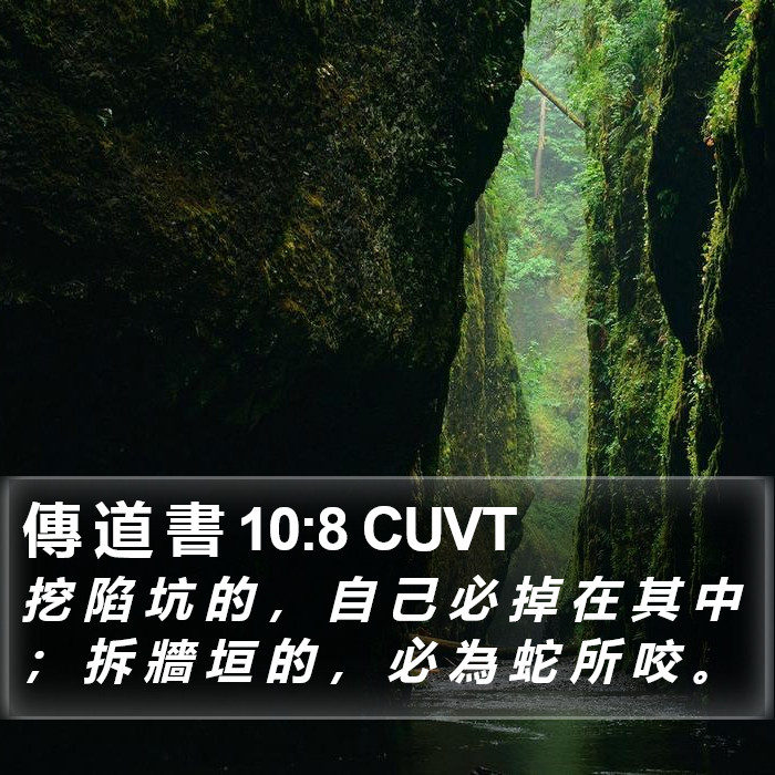 傳 道 書 10:8 CUVT Bible Study