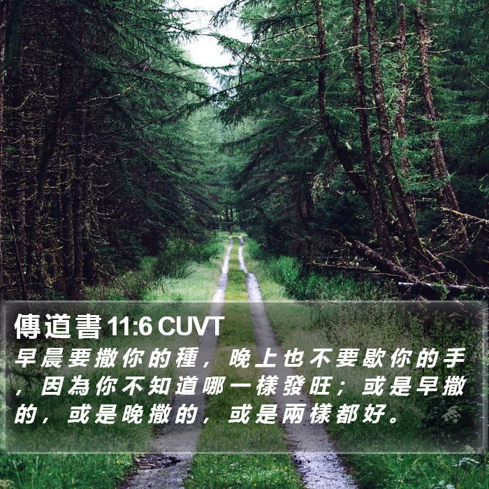 傳 道 書 11:6 CUVT Bible Study