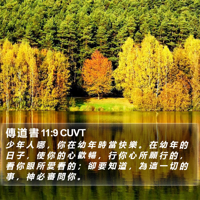 傳 道 書 11:9 CUVT Bible Study