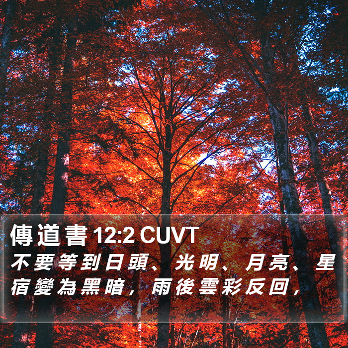 傳 道 書 12:2 CUVT Bible Study