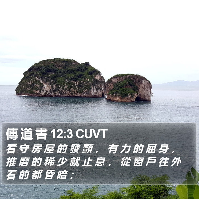 傳 道 書 12:3 CUVT Bible Study
