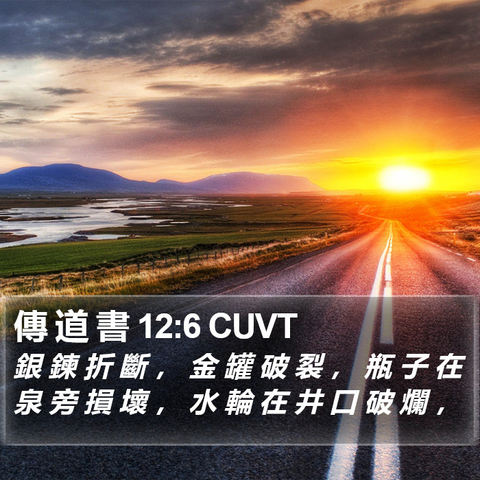 傳 道 書 12:6 CUVT Bible Study