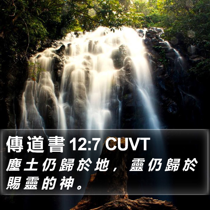 傳 道 書 12:7 CUVT Bible Study