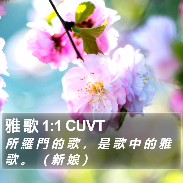 雅 歌 1:1 CUVT Bible Study