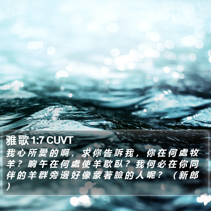 雅 歌 1:7 CUVT Bible Study