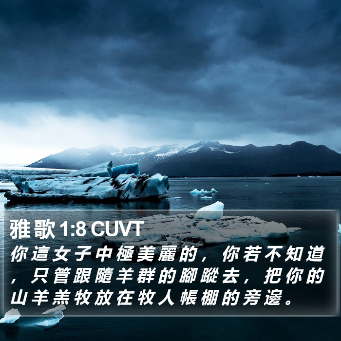 雅 歌 1:8 CUVT Bible Study