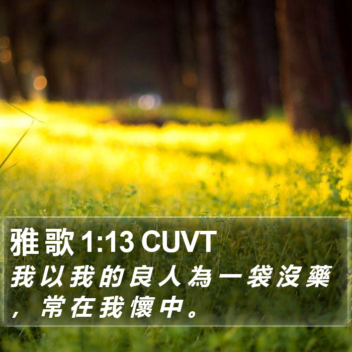 雅 歌 1:13 CUVT Bible Study