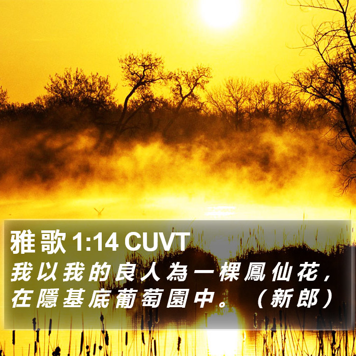 雅 歌 1:14 CUVT Bible Study