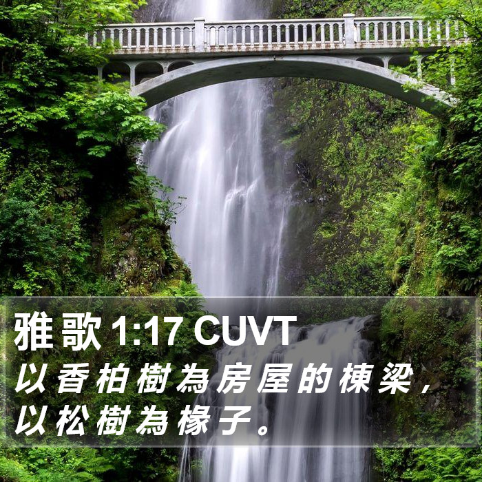 雅 歌 1:17 CUVT Bible Study