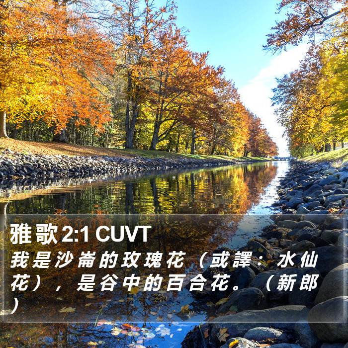 雅 歌 2:1 CUVT Bible Study