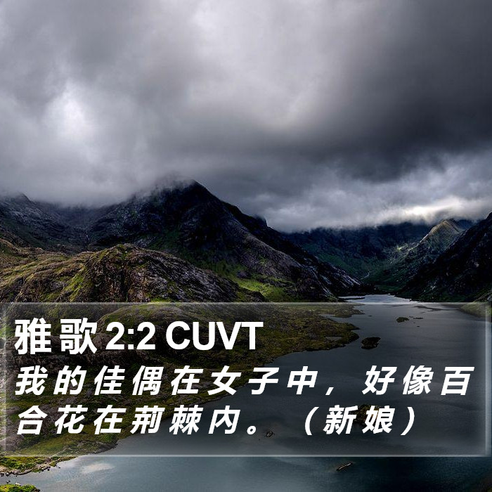 雅 歌 2:2 CUVT Bible Study