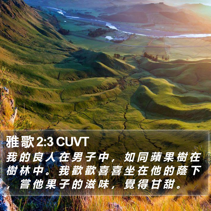雅 歌 2:3 CUVT Bible Study