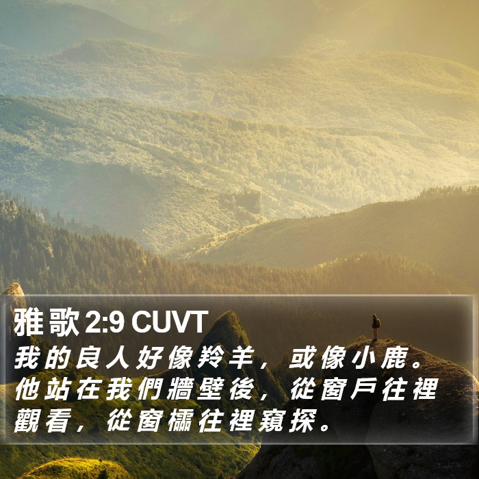 雅 歌 2:9 CUVT Bible Study