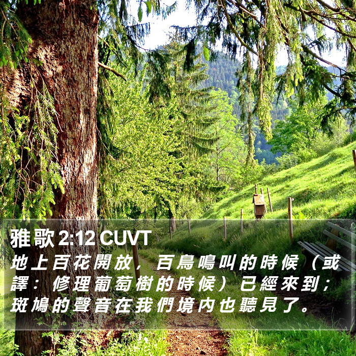 雅 歌 2:12 CUVT Bible Study