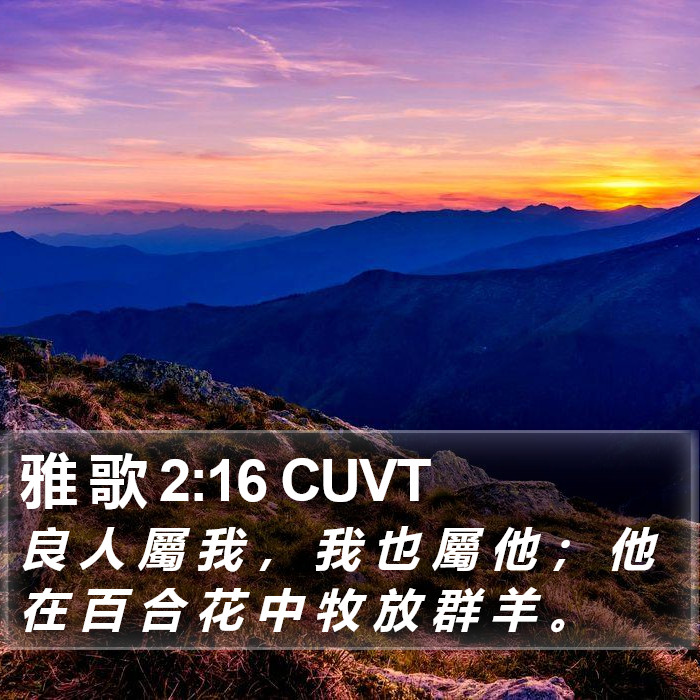 雅 歌 2:16 CUVT Bible Study