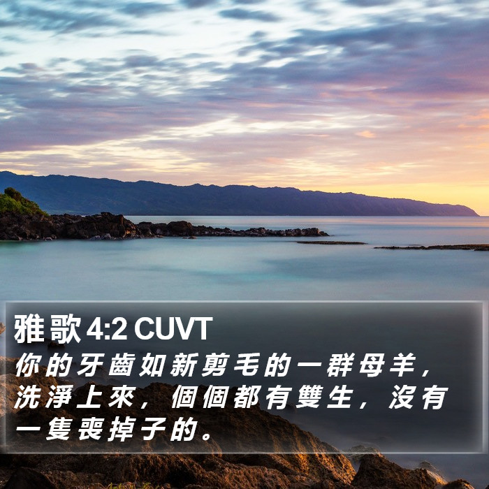 雅 歌 4:2 CUVT Bible Study