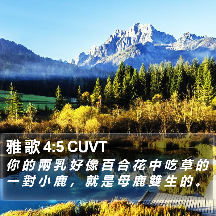 雅 歌 4:5 CUVT Bible Study