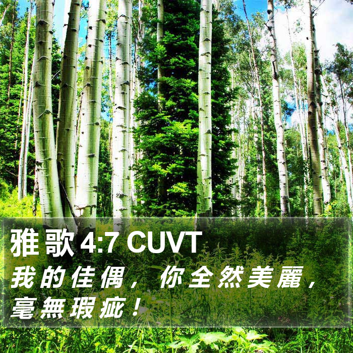 雅 歌 4:7 CUVT Bible Study