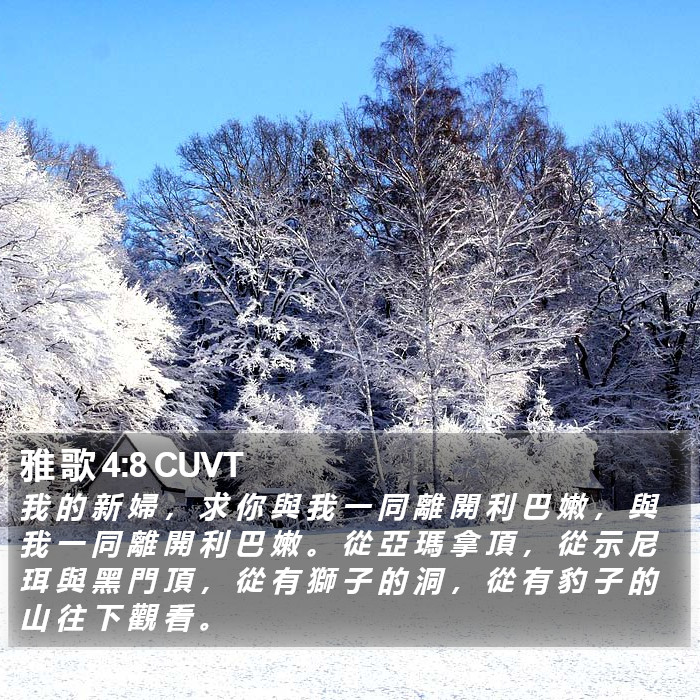 雅 歌 4:8 CUVT Bible Study