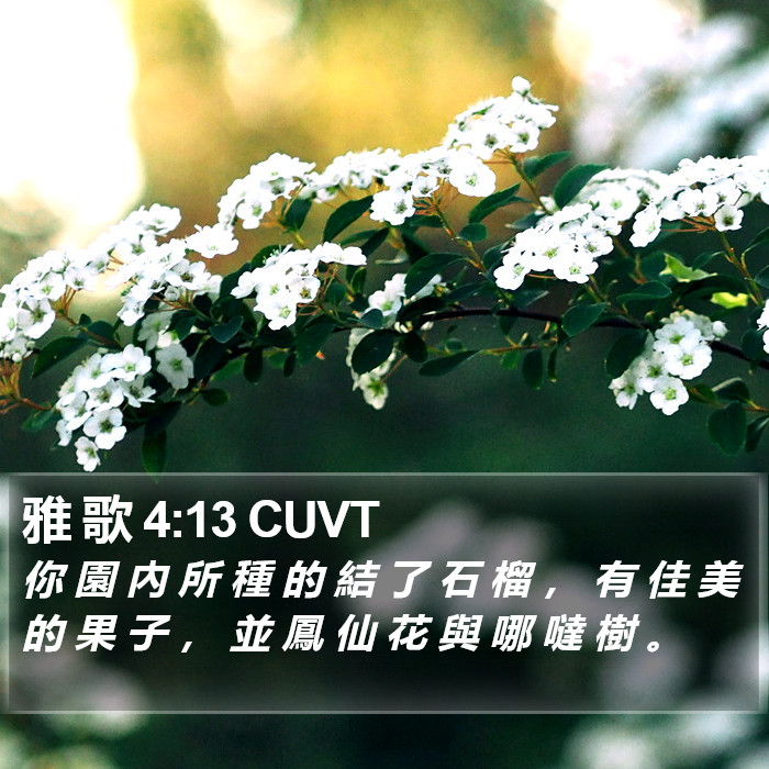 雅 歌 4:13 CUVT Bible Study