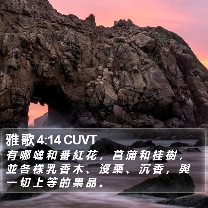 雅 歌 4:14 CUVT Bible Study