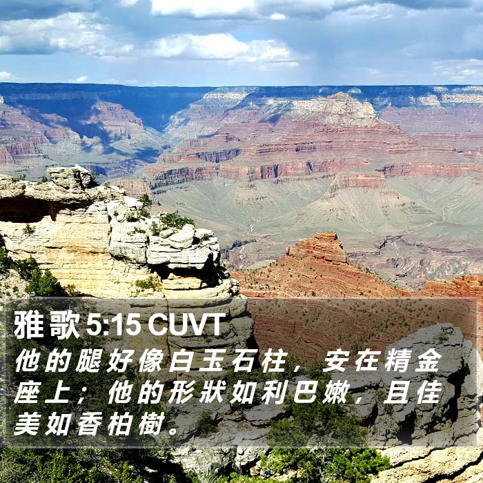 雅 歌 5:15 CUVT Bible Study
