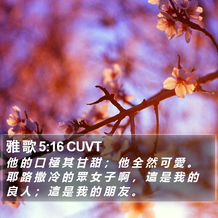 雅 歌 5:16 CUVT Bible Study
