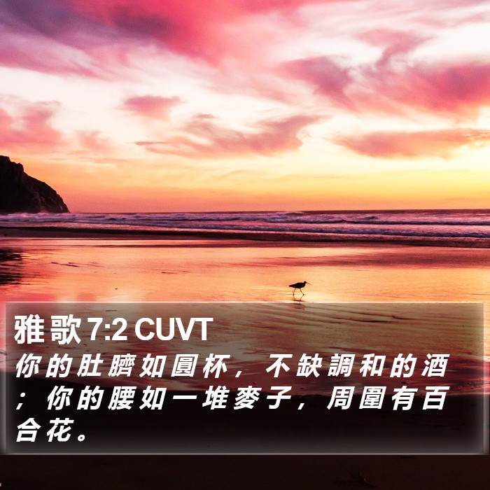 雅 歌 7:2 CUVT Bible Study