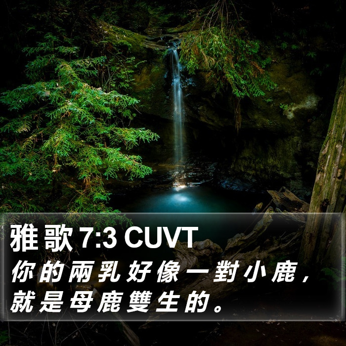 雅 歌 7:3 CUVT Bible Study